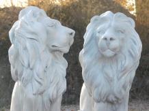 Löwenset - Polystone - nach links und rechts schauend - weiß