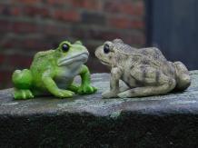 Frosch-Set - Polystone - 12x14 cm - in Farbe und Detail
