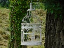 Set mit 2 Vogelkäfigen – rund – Vintage-Weiß