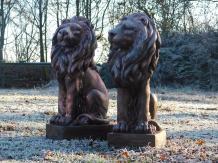 Set van leeuwen - polystone koper - links en rechts kijkend