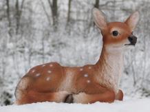 Cerf sika couché - polystone - 36 cm - résistant aux intempéries