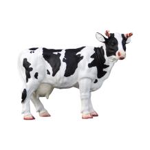 Koe - met hoorns - 48 cm - in kleur - gedetailleerd
