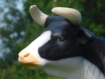 Vache - polystone - 160 x 200 cm - en couleur - en détail