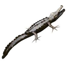 Krokodil tuinbeeld - 220 cm - uniek - hoogwaardig metaal