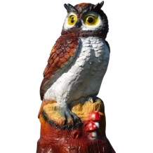 Bruine Uil XL beeld - 70 x 40 cm - kunststof dierenbeeld