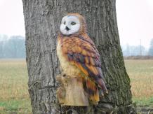 Uil op stronk - bruin - polystone - gedetailleerd
