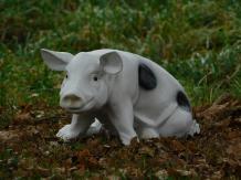 Beeld / tuinbeeld varken met zwarte vlekken, realistisch dierenbeeld