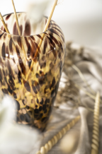 Vase Claude - Panthère - Verre - By-Boo