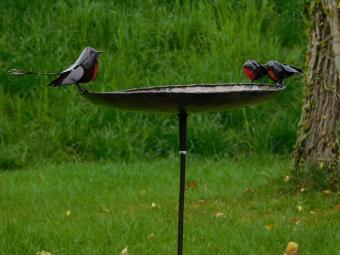 Bain d'oiseaux avec rouges-gorges - 2 par 1 - piquet de jardin en métal
