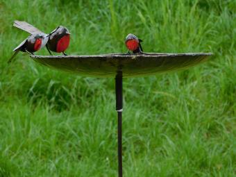 Vogelbad mit 3 Rotkehlchen - Gartenstecker aus Metall - 85 cm