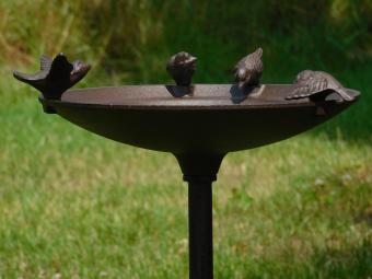 Vogelbad met 4 Vogeltjes - 60 cm - Gietijzer