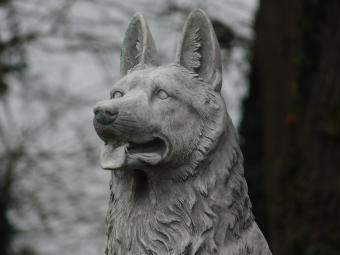 Statue Schäferhund XL – 80 cm – Stein