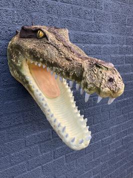 Krokodillenkop - polystone - 72 cm - gedetailleerd