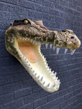 Krokodillenkop - polystone - 72 cm - gedetailleerd
