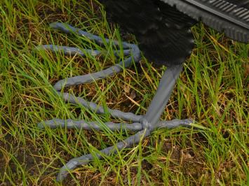 Toekan - metaal - 60 cm - in kleur - gedetailleerd beeld
