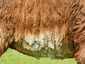 Schotse hooglander - polystone - 90 cm - in kleur en detail