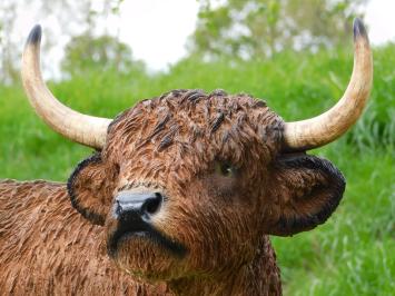 Schotse hooglander - polystone - 90 cm - in kleur en detail
