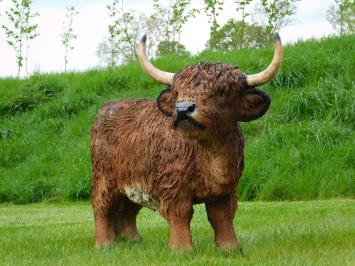 Schotse hooglander - polystone - 90 cm - in kleur en detail