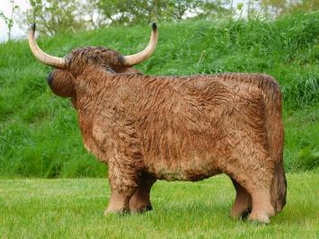 Schotse hooglander - polystone - 90 cm - in kleur en detail