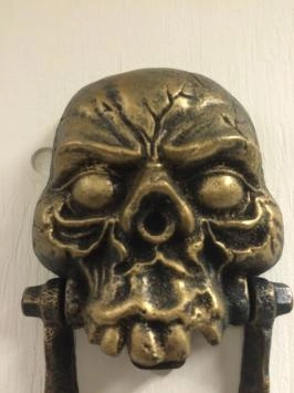 Nemesis Now Nemesis Now - Craniology 16cm Beeld/figuur - Schedel - Crem Nemesis Now Nemesis Now - Craniology 16cm Beeld/figuur - Schedel - Crem