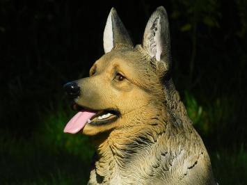 Deutscher Schäferhund - Hund - Polystone - 78 cm - im Detail