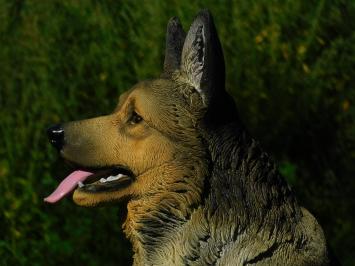 Deutscher Schäferhund - Hund - Polystone - 78 cm - im Detail