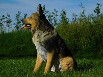 Deutscher Schäferhund - Hund - Polystone - 78 cm - im Detail