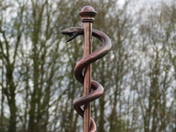 Esculaap-slang in brons look, prachtig beeld.