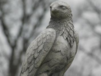 Falke - Tierstatue aus Stein - 50 cm - weiß mit grau