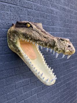Krokodillenkop - polystone - 72 cm - gedetailleerd
