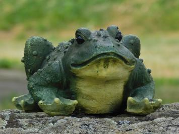 Ein lustiger und dekorativer Frosch aus Polystein