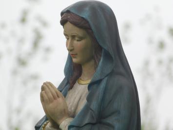 Tuinbeeld Maria met rozenkrans, beeld in kleur, christelijk figuur