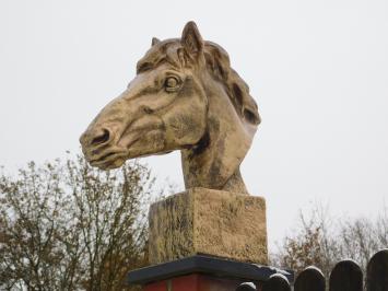 Pferdekopf – Polystone – 64 cm – Gold mit dunklen Tönen