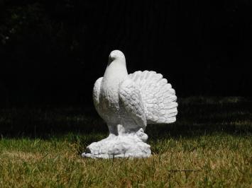 Fächertaube – Tierstatue aus Stein – 33 cm – klassisch