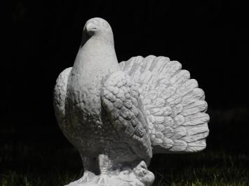 Pauwstaartduif - stenen dierenbeeld - 33 cm - klassiek