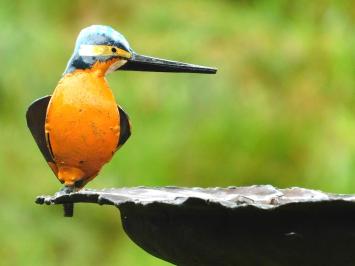 Mangeoire à oiseaux en métal avec martin-pêcheur – piquet de jardin – 90 cm.
